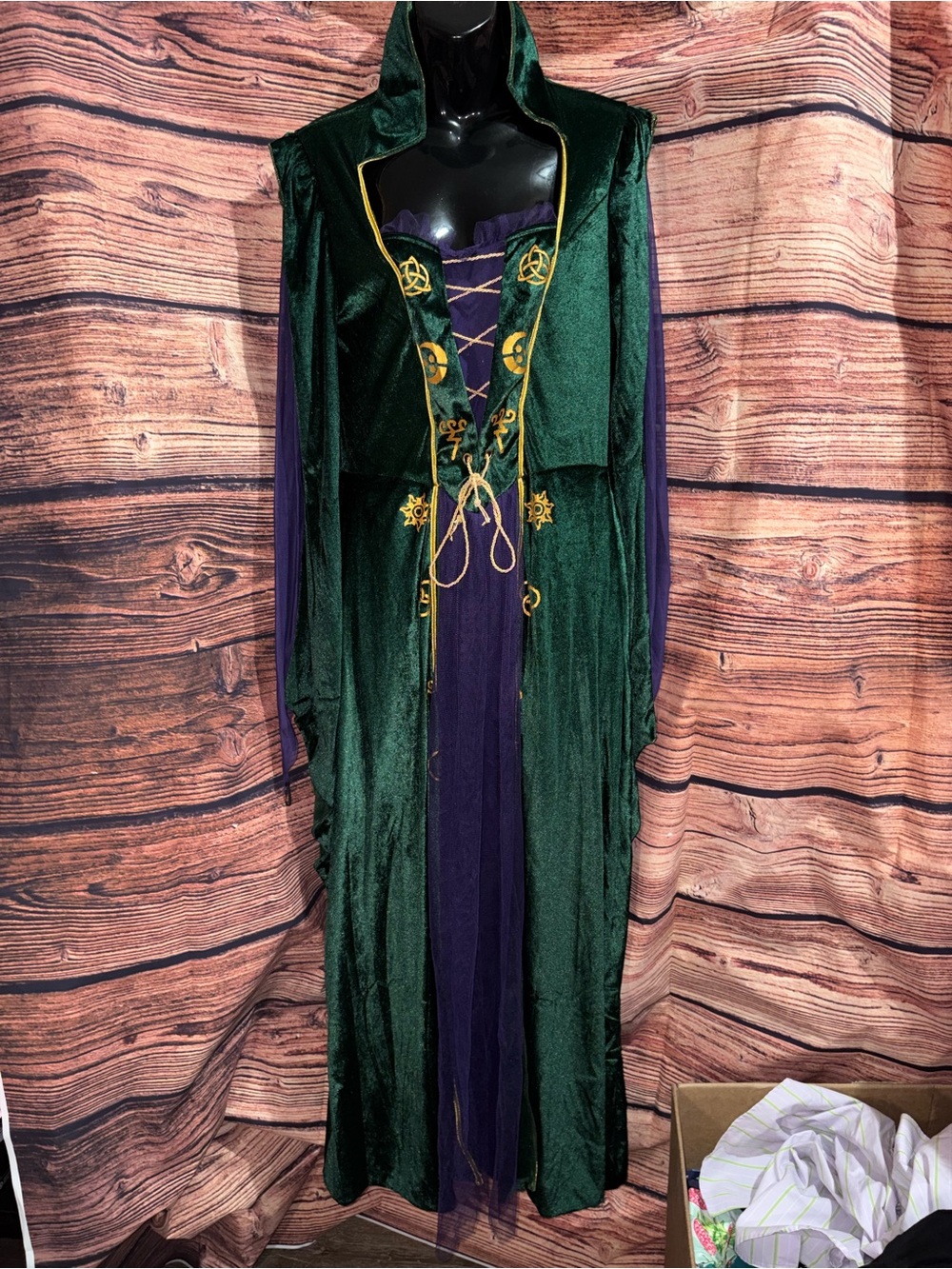 Disney Dark Green Velvet Hooded Cape with Purple Dress and Gold Trim